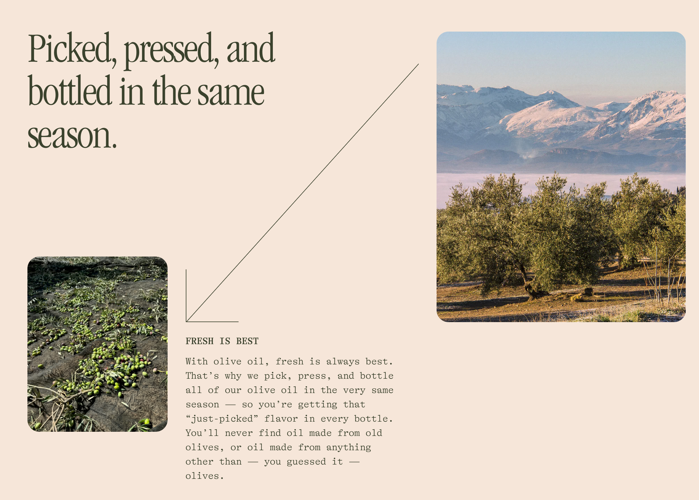 Picked, pressed, and bottled in the same season