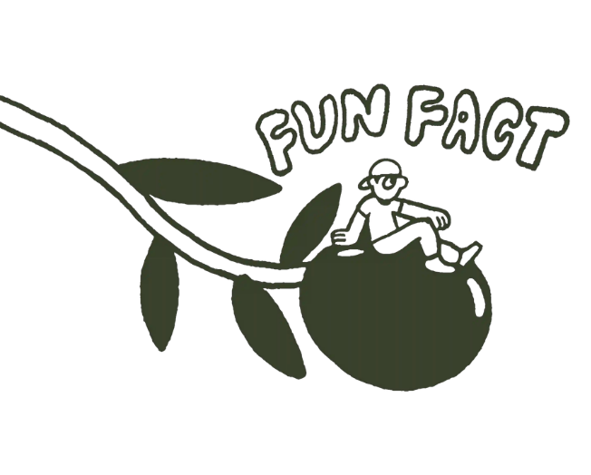 Fun fact illustration